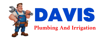 Trusted plumber in SOMONAUK