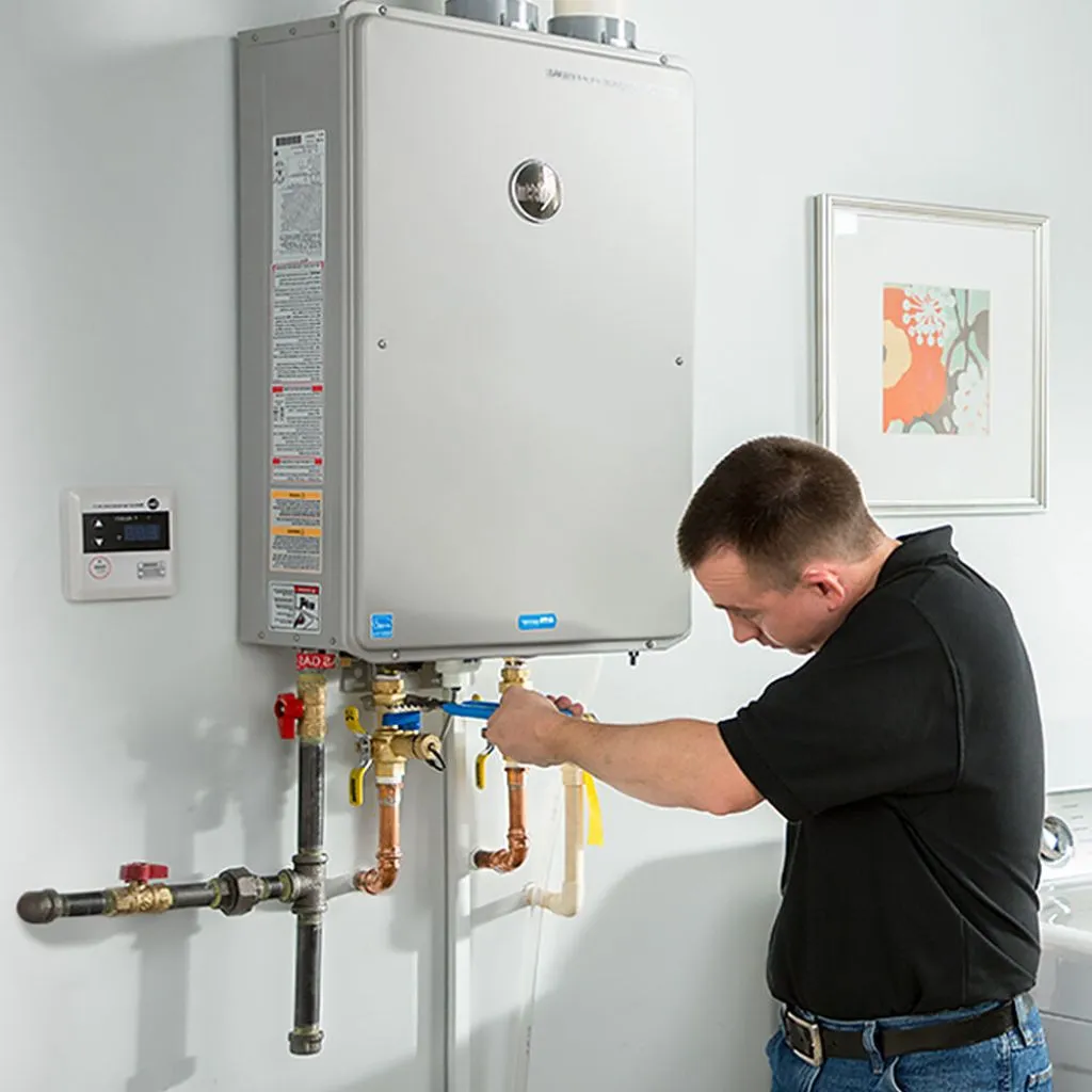 tankless water heater repair in Somonauk, IL